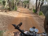 SAM_3914