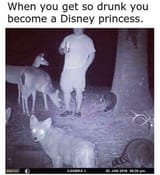 disney_princess