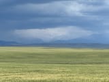 IMG_0893 2