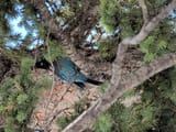 IMG_20250510_103511_374