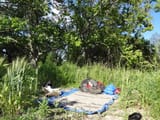 DSC00605