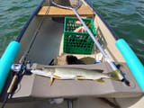 IMG_20250713_163202670