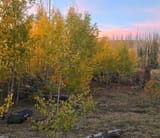 IMG_20241025_111231_886