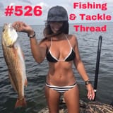 Thread 2829418 OP Image