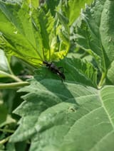 IMG_20250716_111636116_HDR