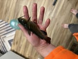 IMG_0059