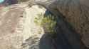 Gh010424_thumb.jpg