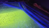 20250628_102627