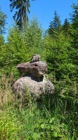 IMG_20250719_133025_053