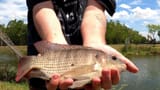 IMG_20210518_235026_567