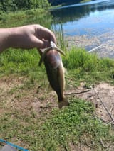 IMG_20250723_102035_480