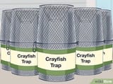v4-460px-Catch-a-Crayfish-Step-1-Version-3