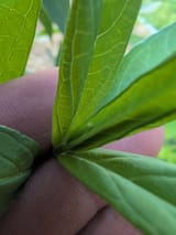 IMG_20250723_155112_382