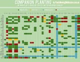 Pauls-Companion-Planting-Guide