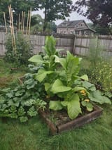 IMG_20250730_191425908