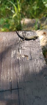 IMG_20230824_113534