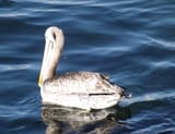 DSCF0023