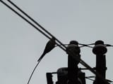 DSCF0017