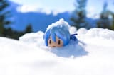 DSC09959_r
