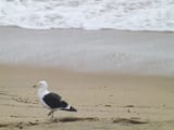 DSCF0041
