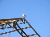 IMG_0013