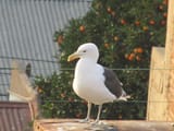 IMG_0024