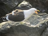 IMG_0040