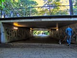 dt_DSCF2635
