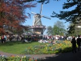 DSCN0751