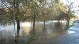 riveravonflooding