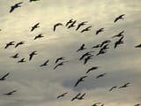 DSC00321