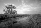 Image 17 (3) (1)