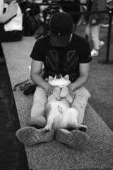 IMG_20250404_010550