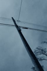 telephone pole resized