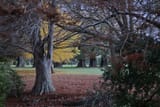 IMG_20241130_202728