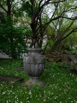 DSCF4207