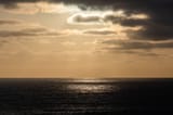 DSC00845