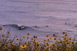 DSC00893A