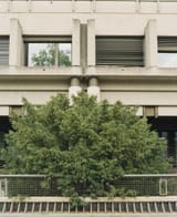 Concrete 1
