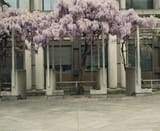 Concrete 5