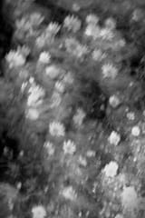 DSCF3713_rsz
