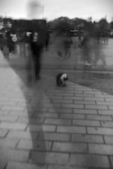 DSCF3766_rsz