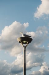 DSCF5177