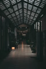 IMG_2996