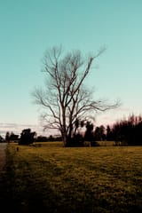 05055062