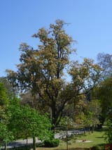 P10003355