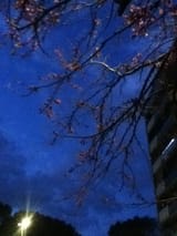 IMG_0673