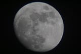 DSC04202