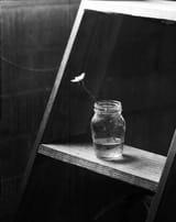 Untitled-2