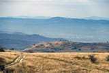 IMG_1239